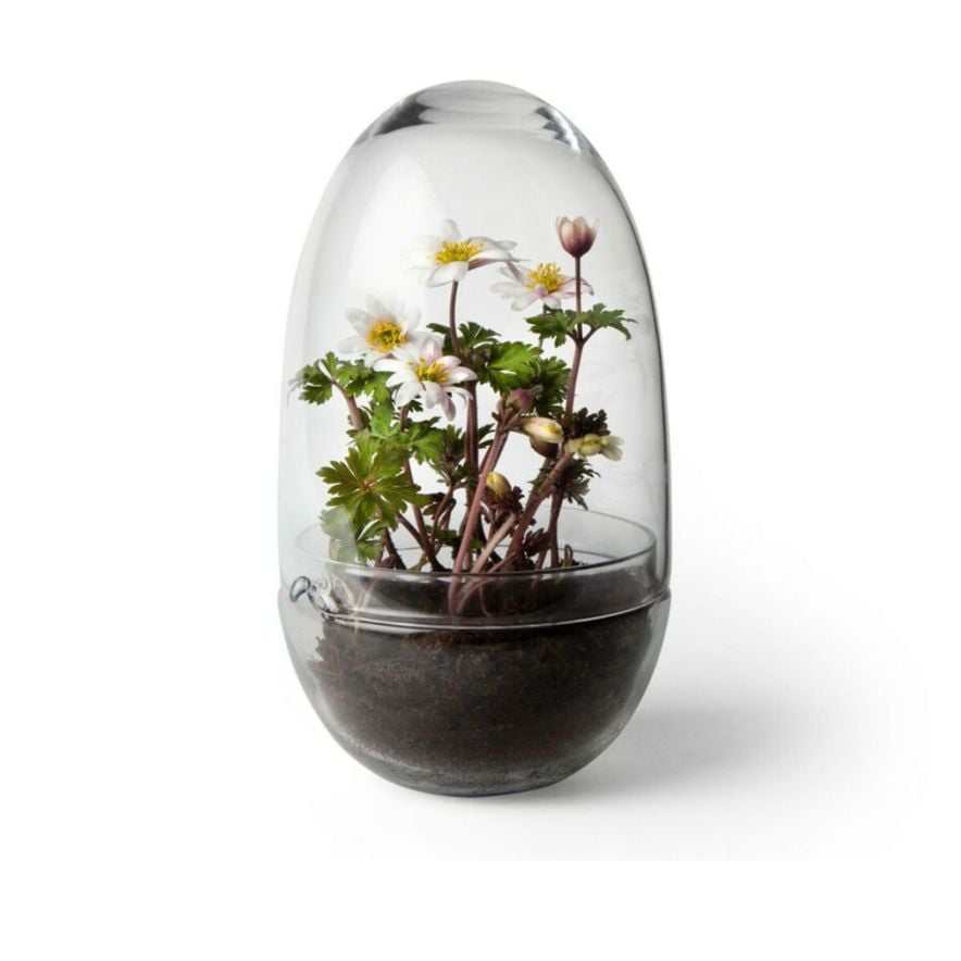 Design House Stockholm Växthus Grow Glas M