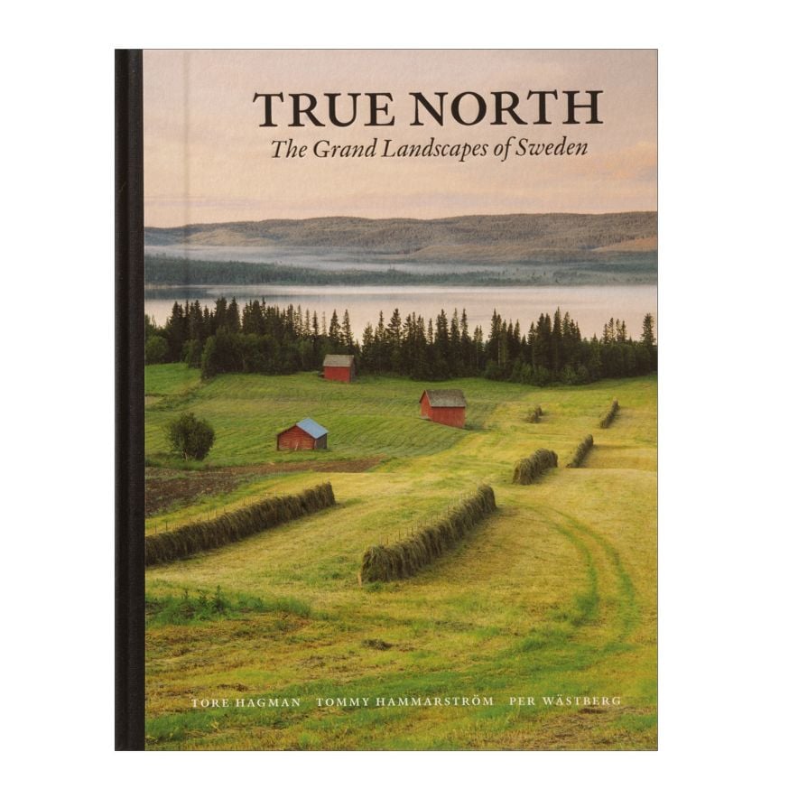 Max Ström Bok True North liten