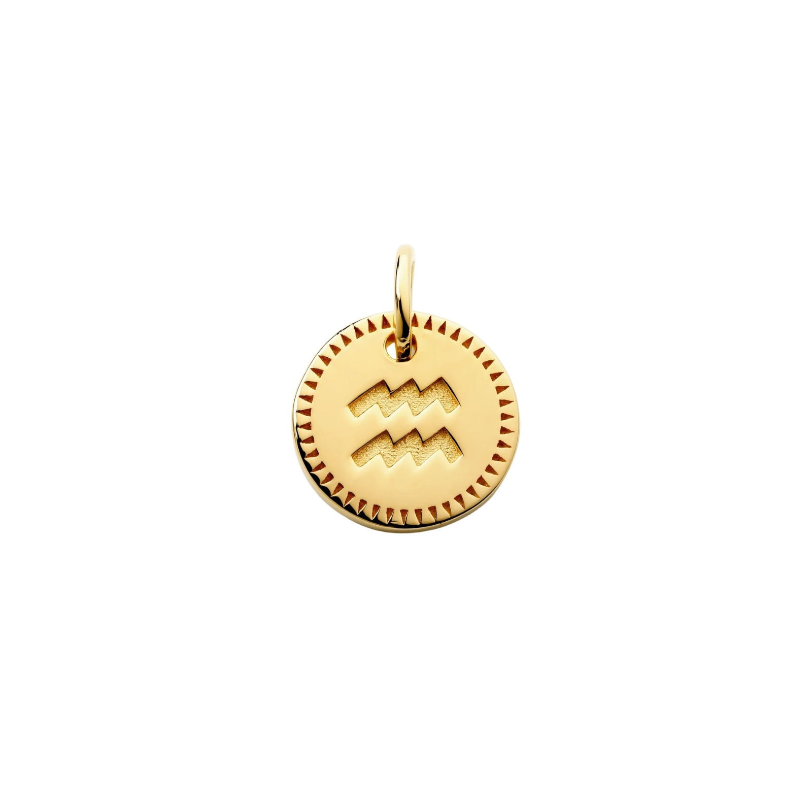 Berlock Beloved Zodie Aquarius Guld