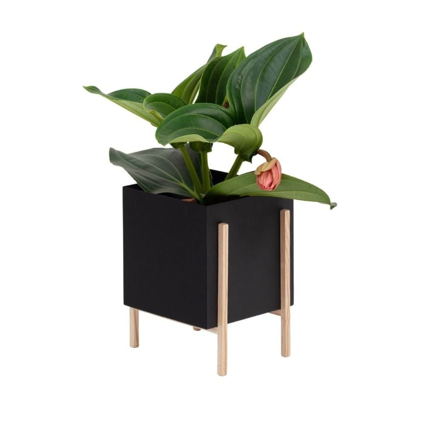 Design House Stockholm Botanic Pot Svart