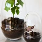 Växthus Grow Glas Mproduktminiatyrbild #6
