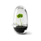 Växthus Grow Glas Sproduktminiatyrbild #1