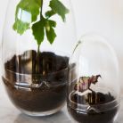 Växthus Grow Glas Sproduktminiatyrbild #6