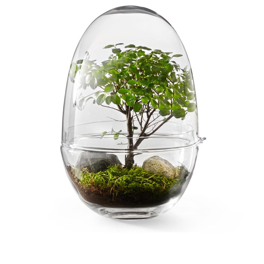 Växthus Grow Glas Lproduktbild #1