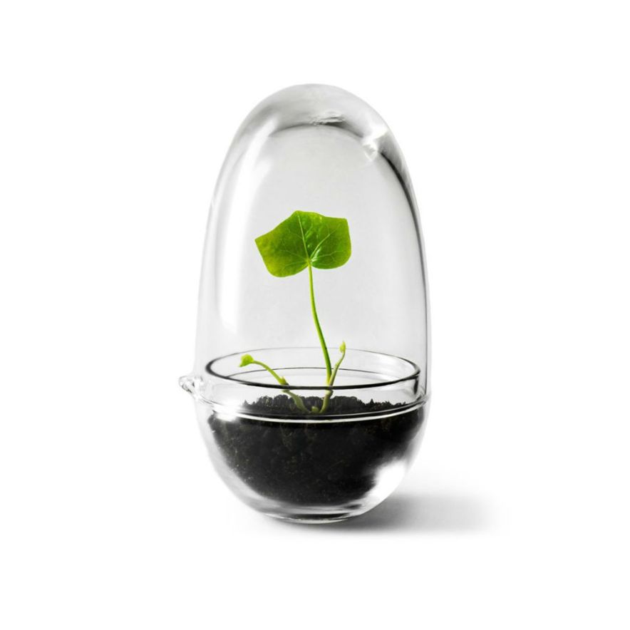 Växthus Grow Glas Sproduktbild #1