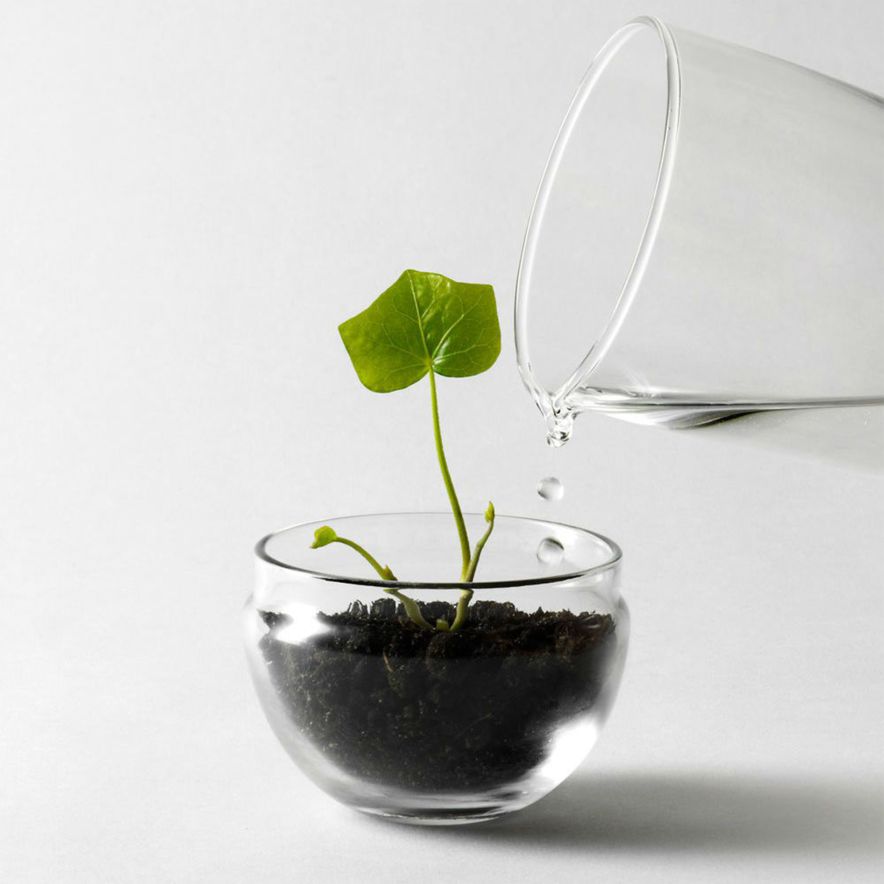 Växthus Grow Glas Sproduktbild #7