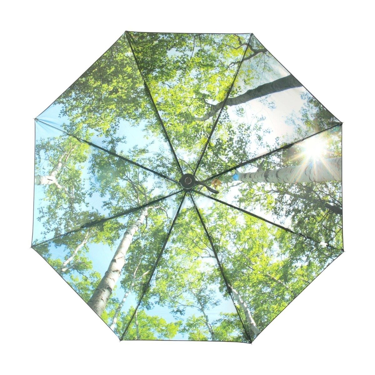 Paraply Skogproduktzoombild #2