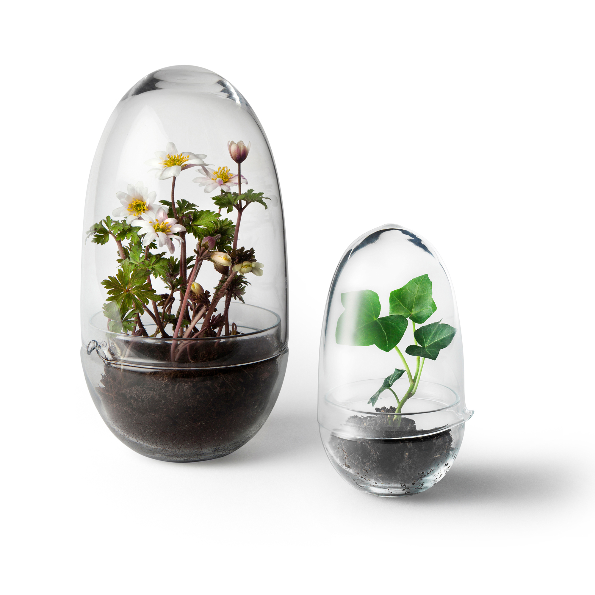 Växthus Grow Glas Mproduktzoombild #8