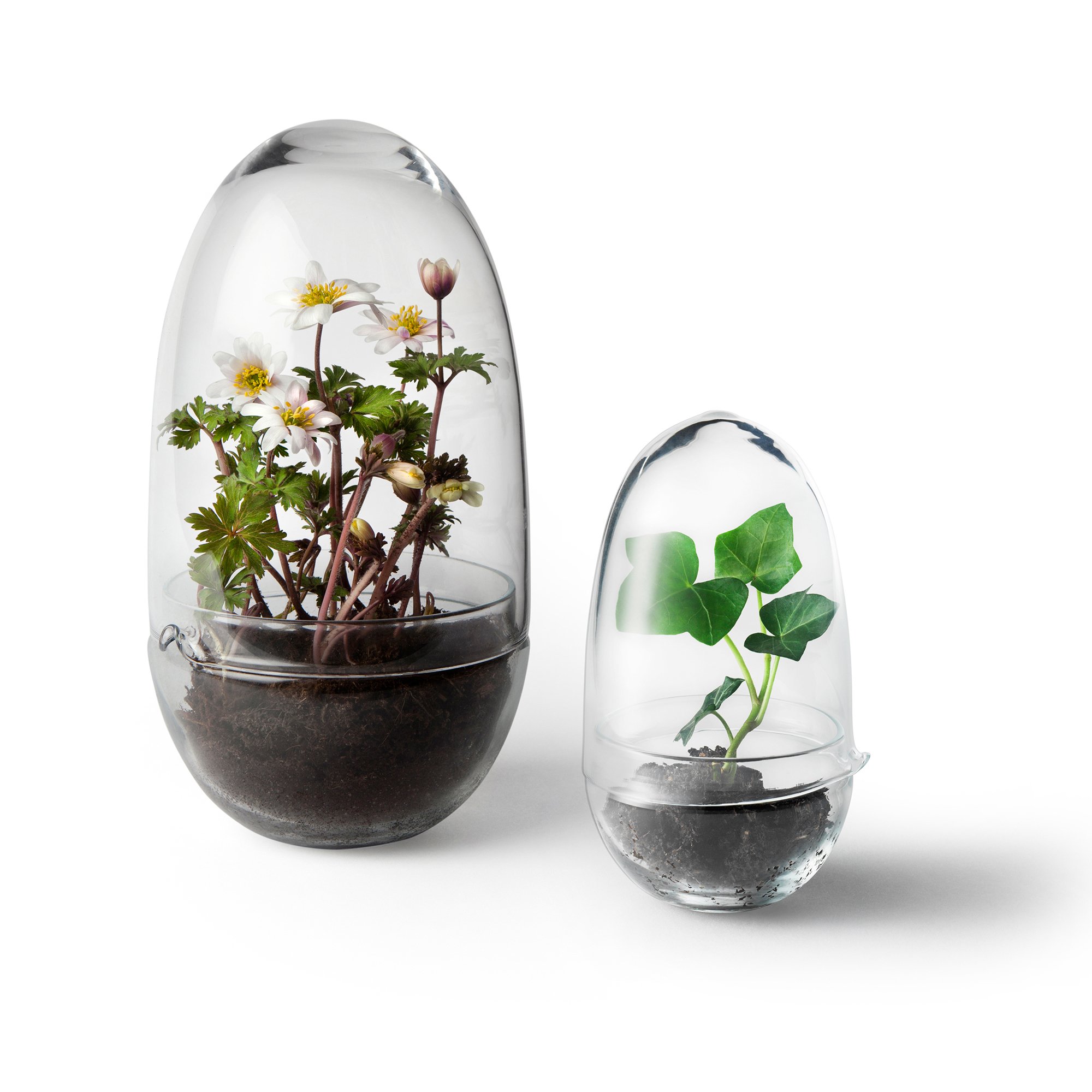 Växthus Grow Glas Sproduktzoombild #8