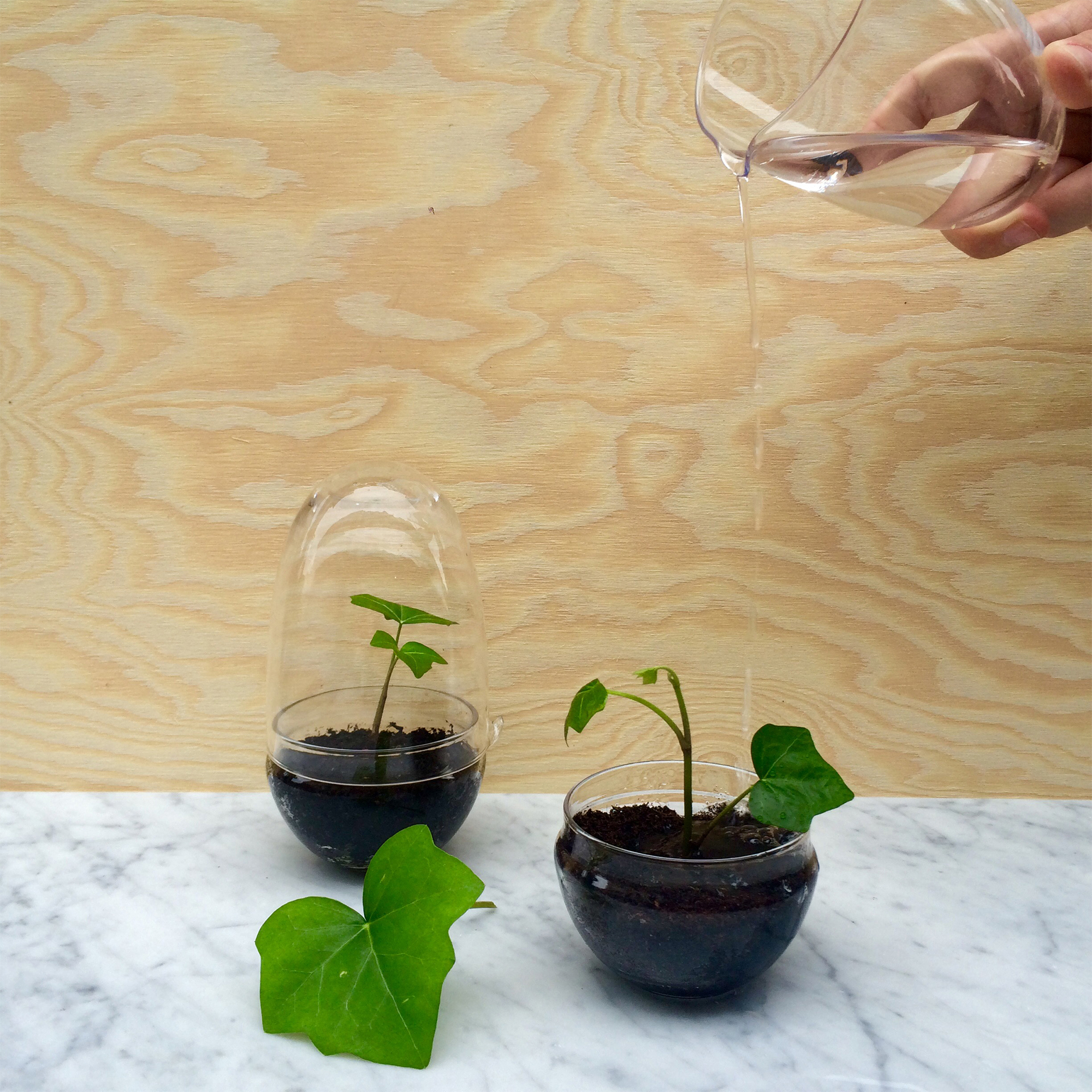 Växthus Grow Glas Sproduktzoombild #9