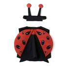 Utklädnad Nyckelpiga set