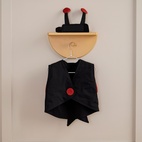 Utklädnad Nyckelpiga set