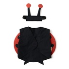 Utklädnad Nyckelpiga set