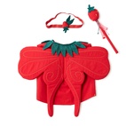 Utklädnad Jordgubbe set