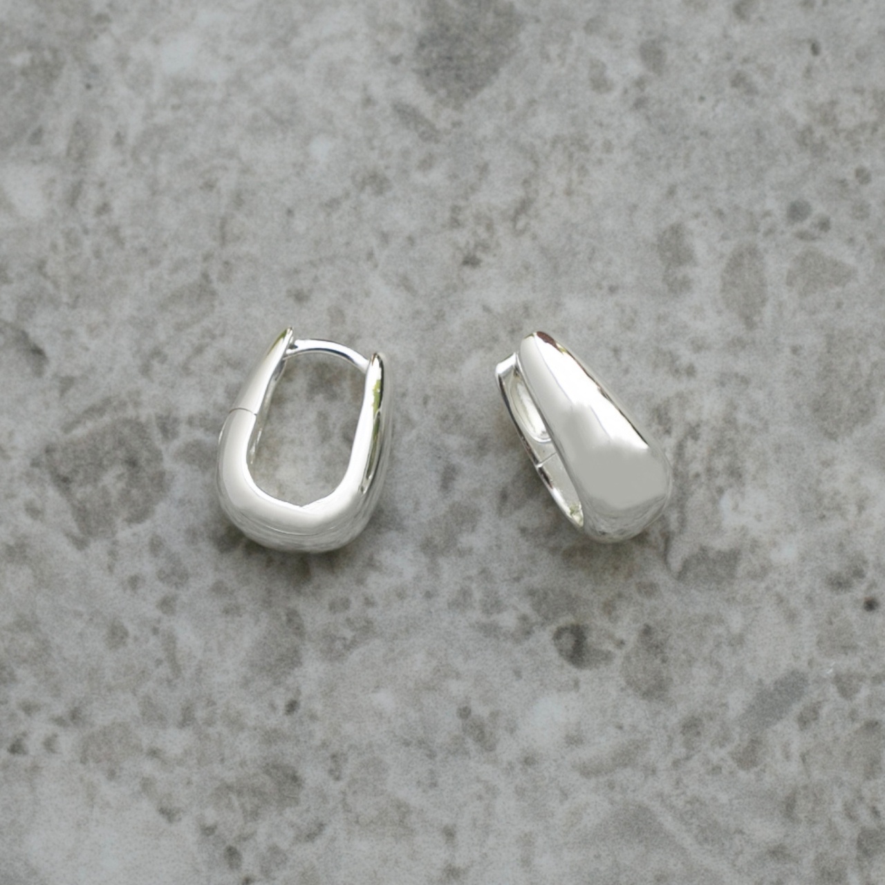 Örhängen Hold Silver