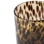 Ljuslykta Luma leo L