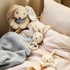 Presentbox Camille kanin + filt Grön