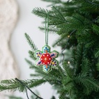 Julhänge Stjärna Natur