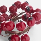 Servettring Lingon Röd