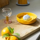 Citruspress pudding Gul