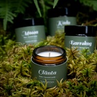 Doftljus Northern Woods 50gr 4-pack