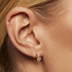 Örhängen Petite Twilight