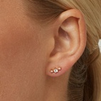 Örhängen Petite Sparkling