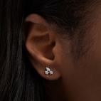 Örhängen Petite Sparkling