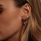 Örhängen Petite Sparkling Guld