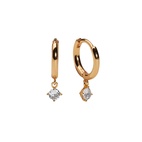 Örhängen Petite Sparkling Guld