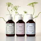 Hand & body lotion Berså 250 ml Climbing rose