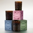 Doftljus Berså 210 gr Climbing rose