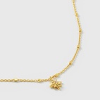 Armband North Star Guld