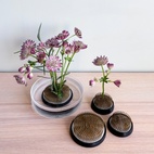 Blomsterfakir Dia 7cm