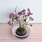 Blomsterfakir Dia 7cm