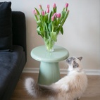 Bord Oscar Dia 34,5cm