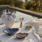 Plockpinnar Shell 6-p Silver