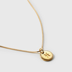 Berlock Beloved Zodie Pisces Guld