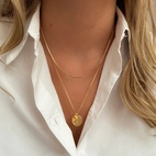 Berlock Beloved Månadssten November Guld