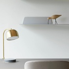 Fågel Shorebird Large Ek