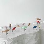 Fågel Shorebird Small Vit