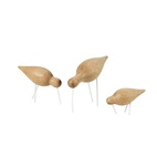 Fågel Shorebird Medium Grön