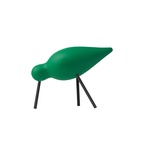 Fågel Shorebird Medium Grön