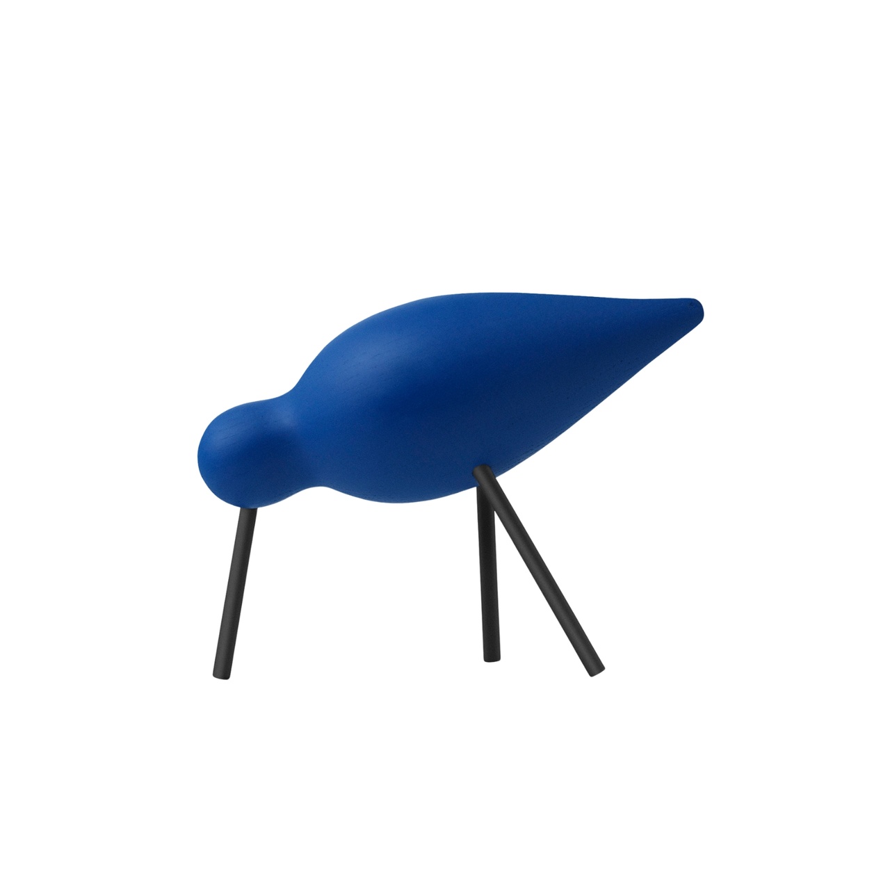 Fågel Shorebird Medium Blå