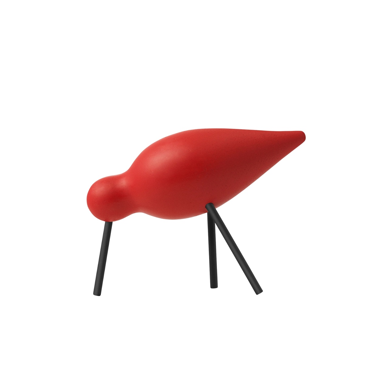 Fågel Shorebird Medium Röd