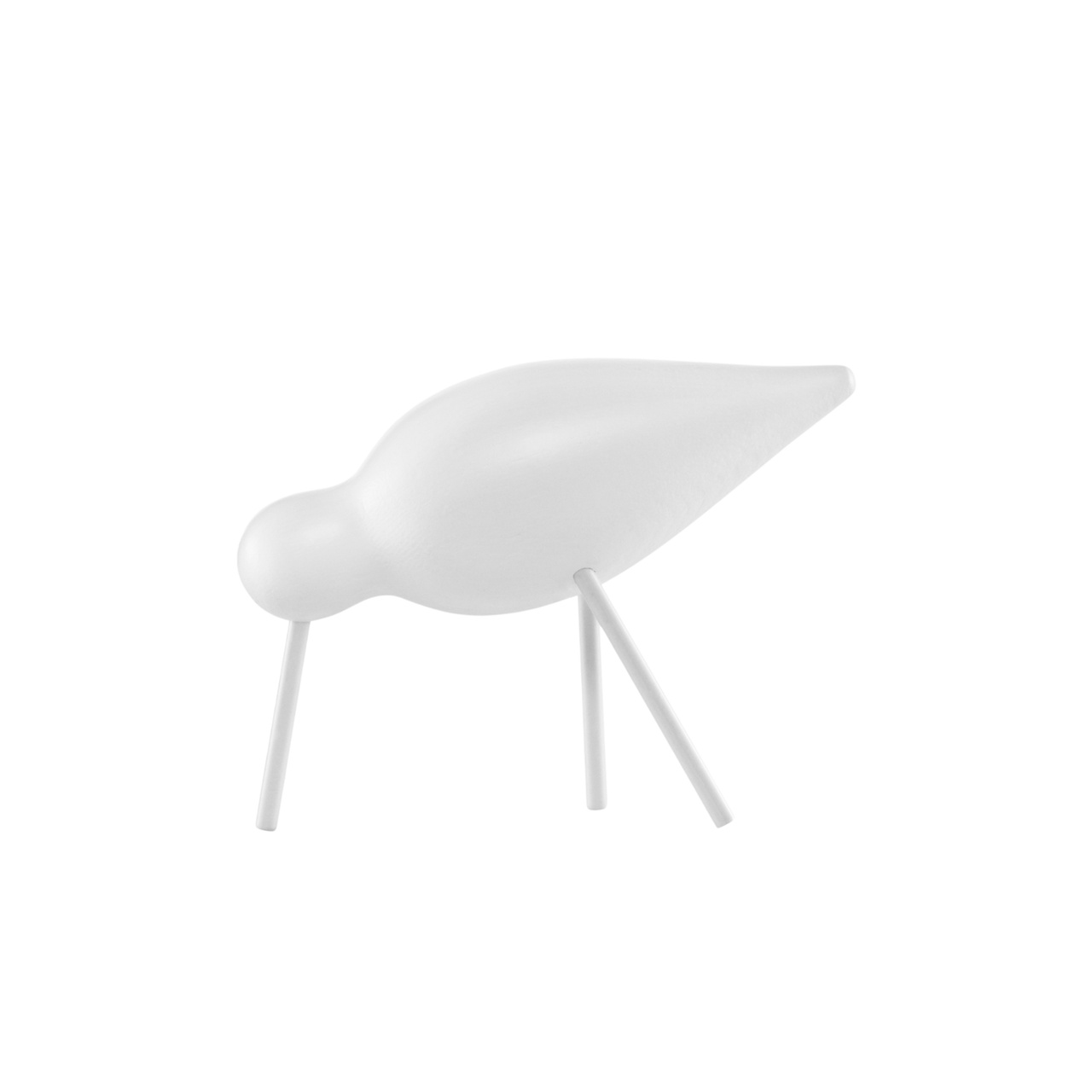 Fågel Shorebird Medium Vit