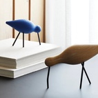 Fågel Shorebird Medium Ek