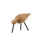 Fågel Shorebird Medium Ek