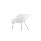 Fågel Shorebird Medium Vit