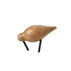 Fågel Shorebird Small Ek